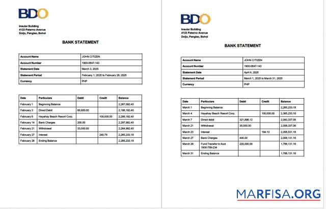 Blank Philippines BDO bank account statement word 2 pages sample